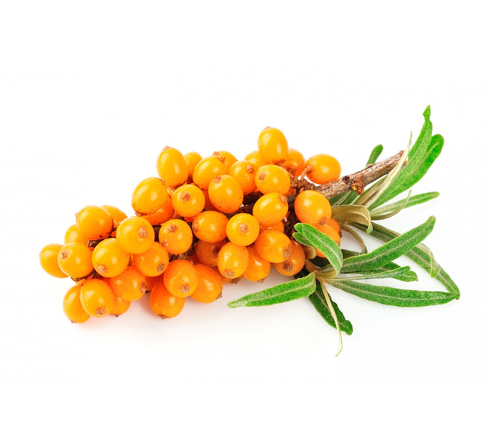 Sea Buckthorn Flavour