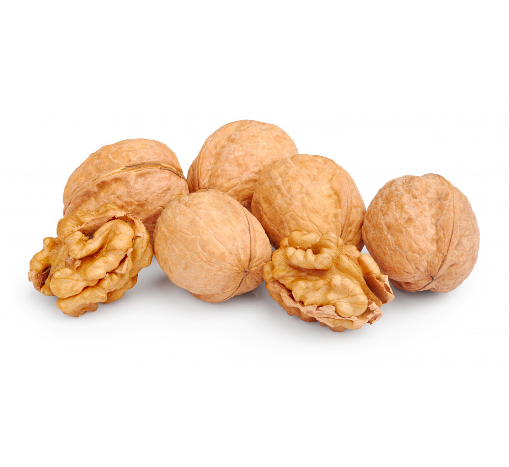 Walnut