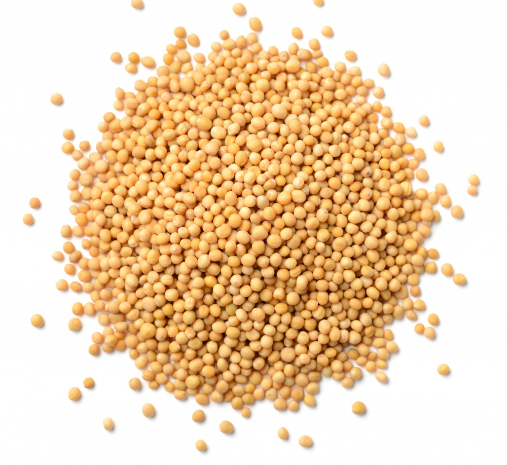 Mustard seeds