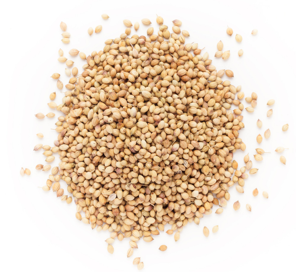 Coriander seeds