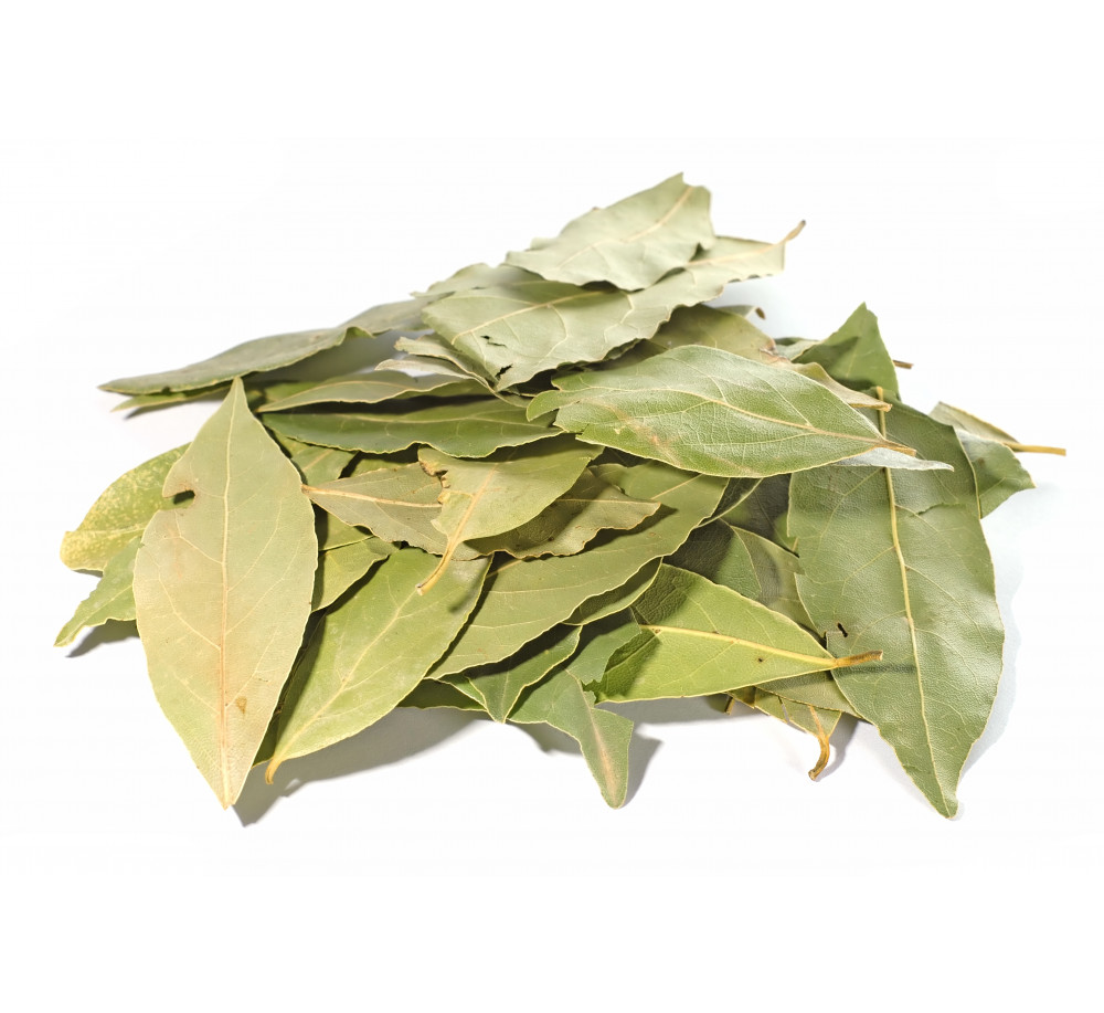 Bay leaf