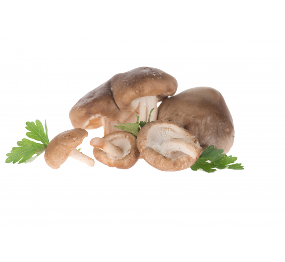 Mushroom Flavour